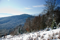 Th_dsc_1237