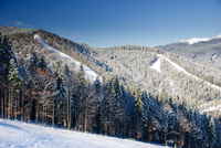 Th_dsc_1258