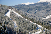Th_dsc_1261