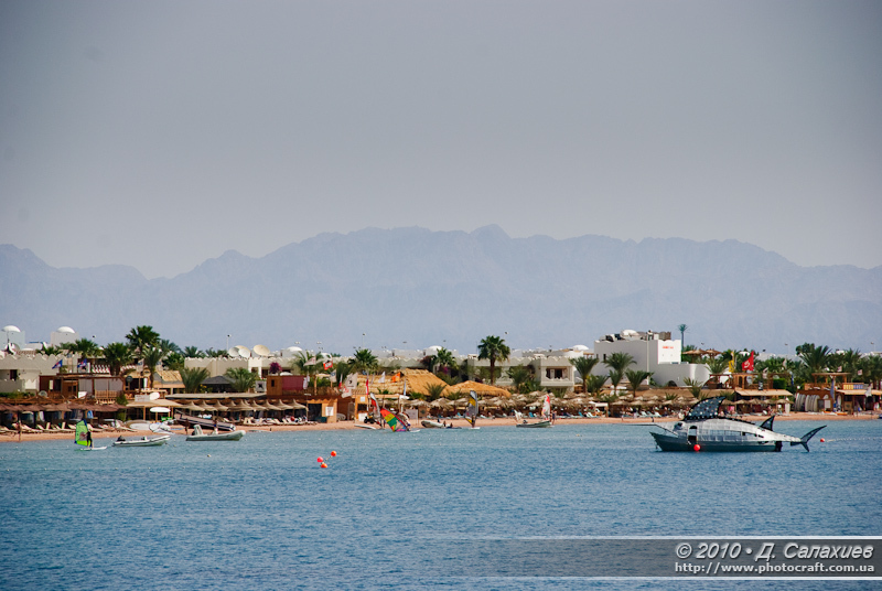 DSC_1351.jpg