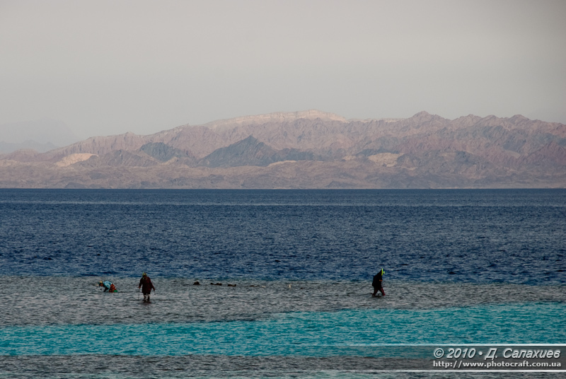 DSC_1369.jpg