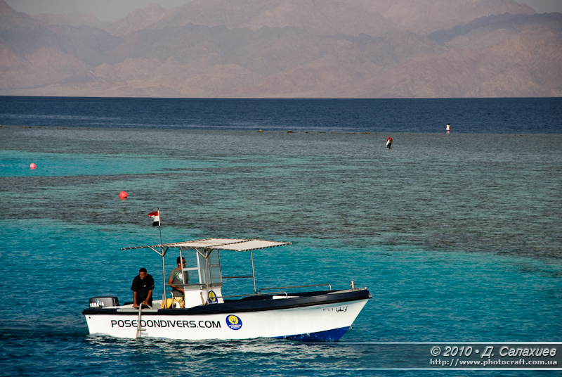 DSC_1389.jpg