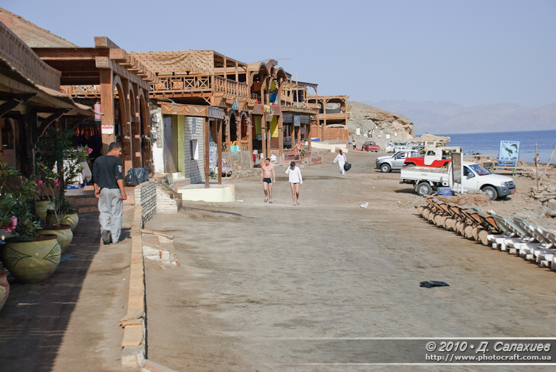 DSC_1442.jpg