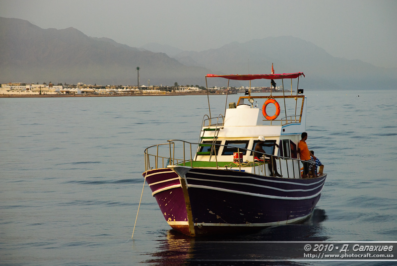 DSC_1772.jpg
