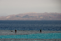 Th_dsc_1369