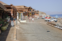 Th_dsc_1442