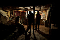 Th_dsc_1466