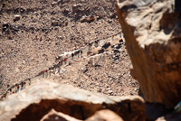 Th_dsc_1559