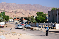 Th_dsc_1683