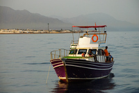 Th_dsc_1772