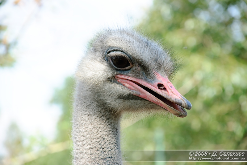 DSC_6956.jpg