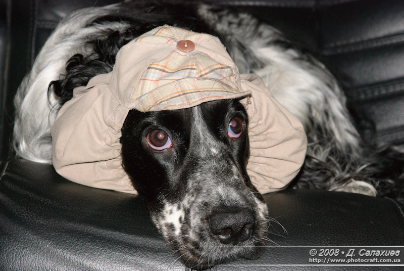 dsc_0014.jpg