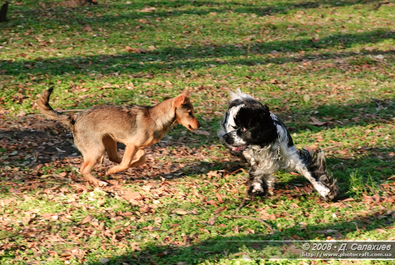 dsc_0027.jpg