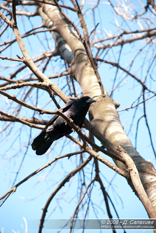 dsc_0033.jpg