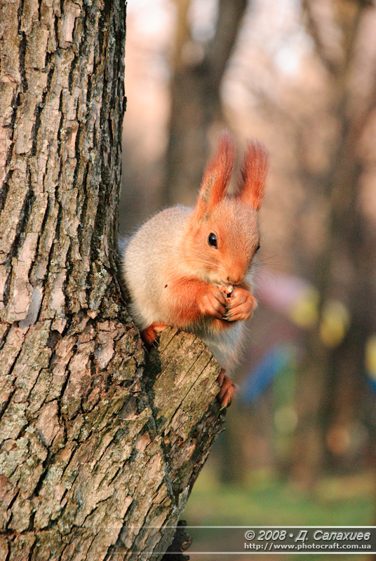 dsc_0121.jpg