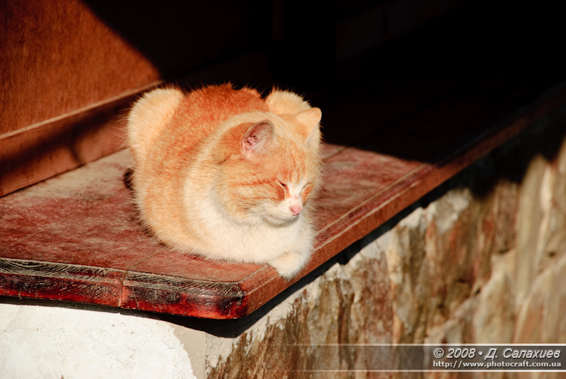 dsc_4707.jpg