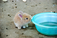 Th_dsc_6859