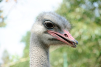 Th_dsc_6956