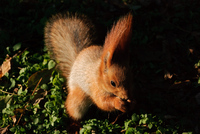 Th_dsc_0015