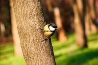 Th_dsc_0059