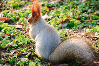 Th_dsc_0083
