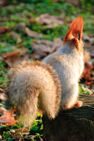 Th_dsc_0090