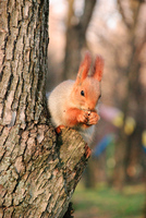 Th_dsc_0121