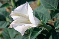 Th_dsc_0598