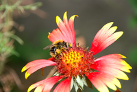 Th_dsc_1404