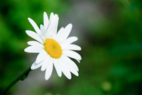 Th_dsc_6002