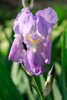 Th__dsc5860
