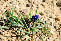 Th_dsc_4369