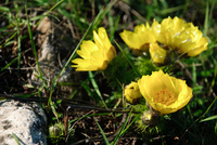 Th_dsc_4414