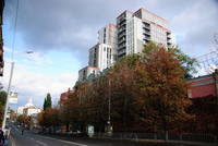 Th_dsc_3560