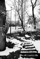Th_dsc_4340