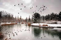 Th_dsc_4403