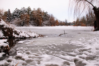 Th_dsc_4456
