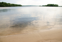 Th_dsc_6113