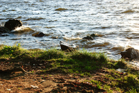 Th_dsc_7133
