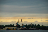 Th__dsc9482
