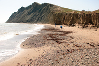 Th_dsc_4375
