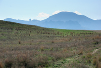 Th_dsc_4391