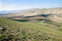 Th_dsc_4417