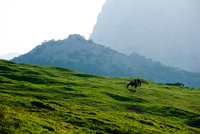 Th_dsc_4748