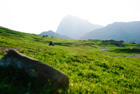 Th_dsc_4749