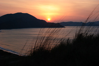 Th_dsc_4772