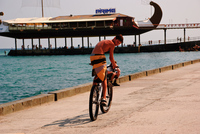 Th_dsc_9562