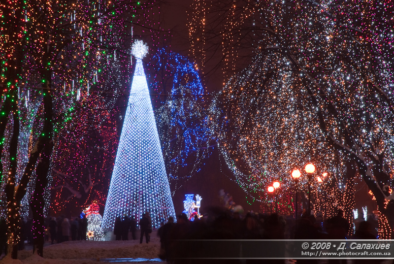 DSC_4241.jpg