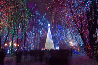 Th_dsc_4237