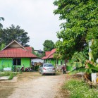 Bamboo House